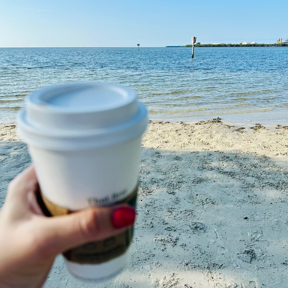 Time for an amazing week! #mondaymotivation #writerlife #writemore #writing #abileads #baylife #loveyourlife #luckygirl #changeyourlife #celebratechange #crazyconfident #gulfviews #tampaphotography #tampalife #tampagirl #tampabay #tampabae #tampa #gratitude #LifeAfterLeapingIn