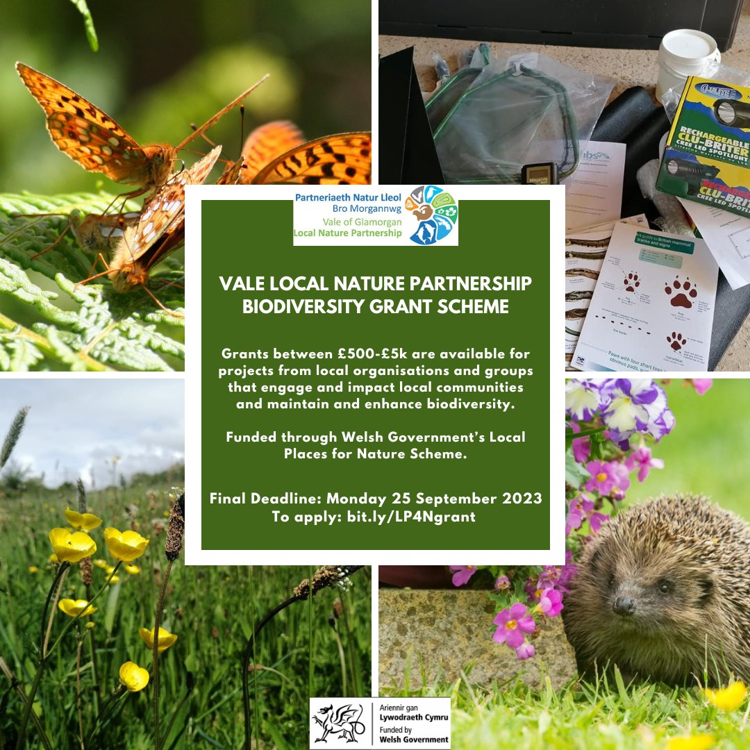 Vale_LNP's tweet photo. @Vale_LNP Biodiversity Grant Now Open!
Grants are available for projects from local organisations and groups that engage and impact local communities and maintain and enhance biodiversity
Funded by @WelshGovernment #LPfN
Final Deadline: Mon 25 Sept
Info: https://t.co/wHRQArsZ9Q https://t.co/eSGlpTkTDd