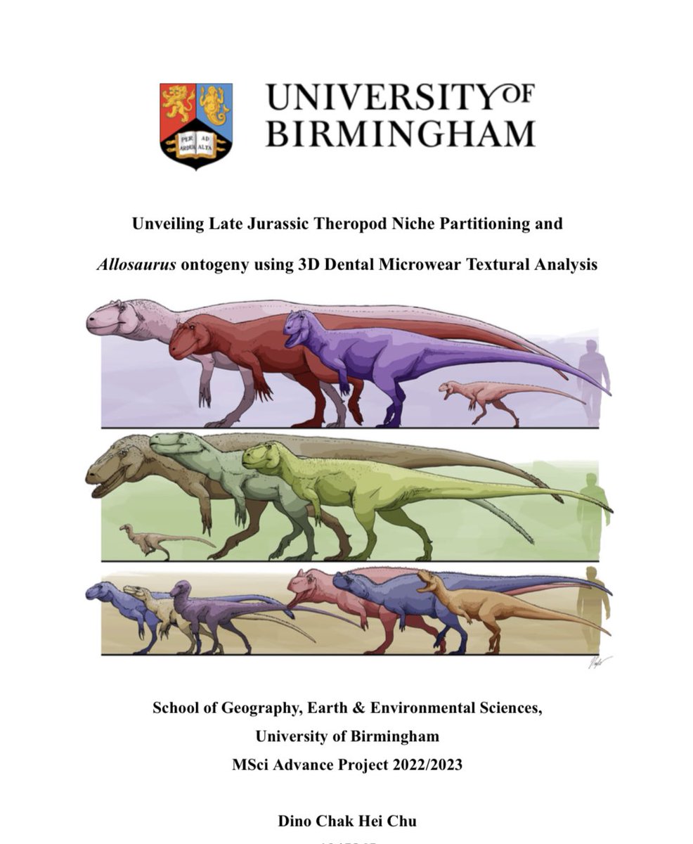 Dino_Dobrowski's tweet image. Abstract of my thesis got accepted by #ProgPal2023!

I have my gratitude to my supervisors @ButlerLabBham and @JordanBestwick1 for their support, feedback and demostration.
I thank my project partner @harrytjones2000 for moral support &amp;amp; sampling the required teeth.

#Allosaurus