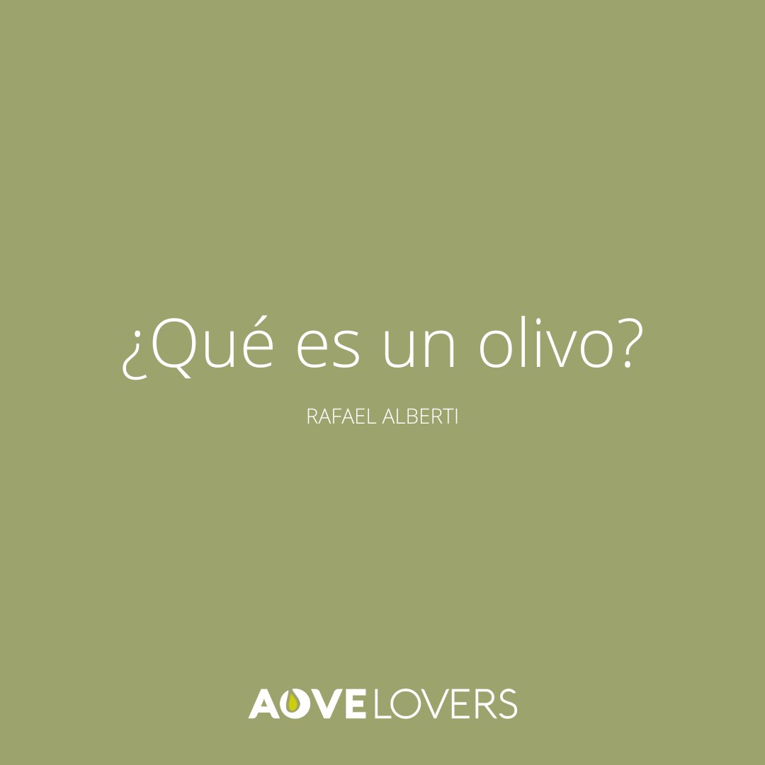 AOVE LOVERS tweet media