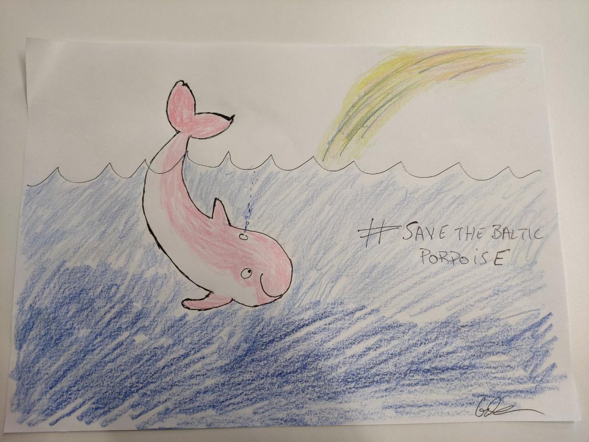 ggcarini's tweet photo. Avete mai visto una creatura più adorabile? È una focena, l’unico  mammifero marino del mar Baltico. Insieme, possiamo proteggerla.  #SaveTheBalticPorpoise
✍️✍️https://t.co/H5qjDK0cHq 🐋🐋 https://t.co/25RjEorDKU