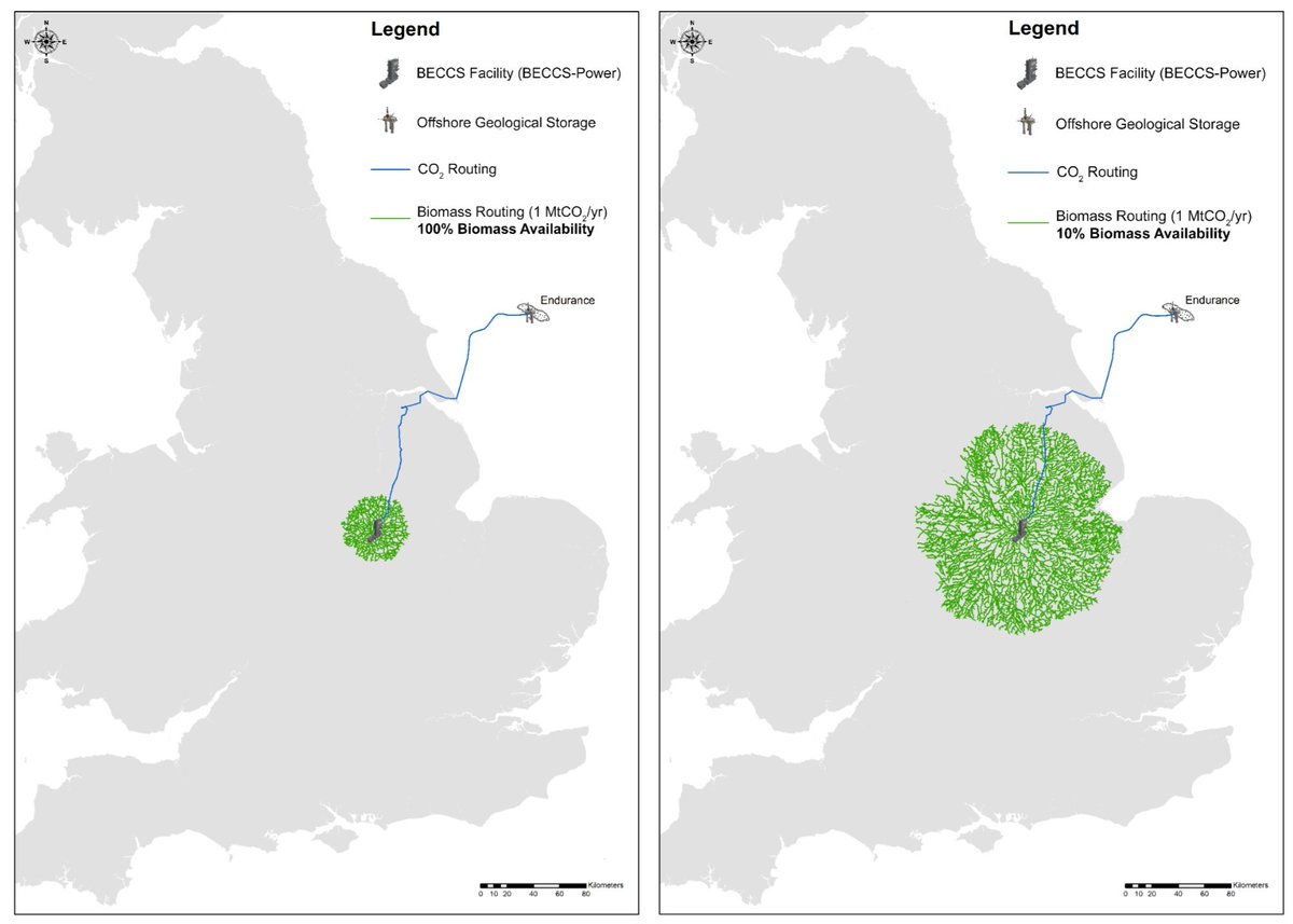 Muir Freer tweet media