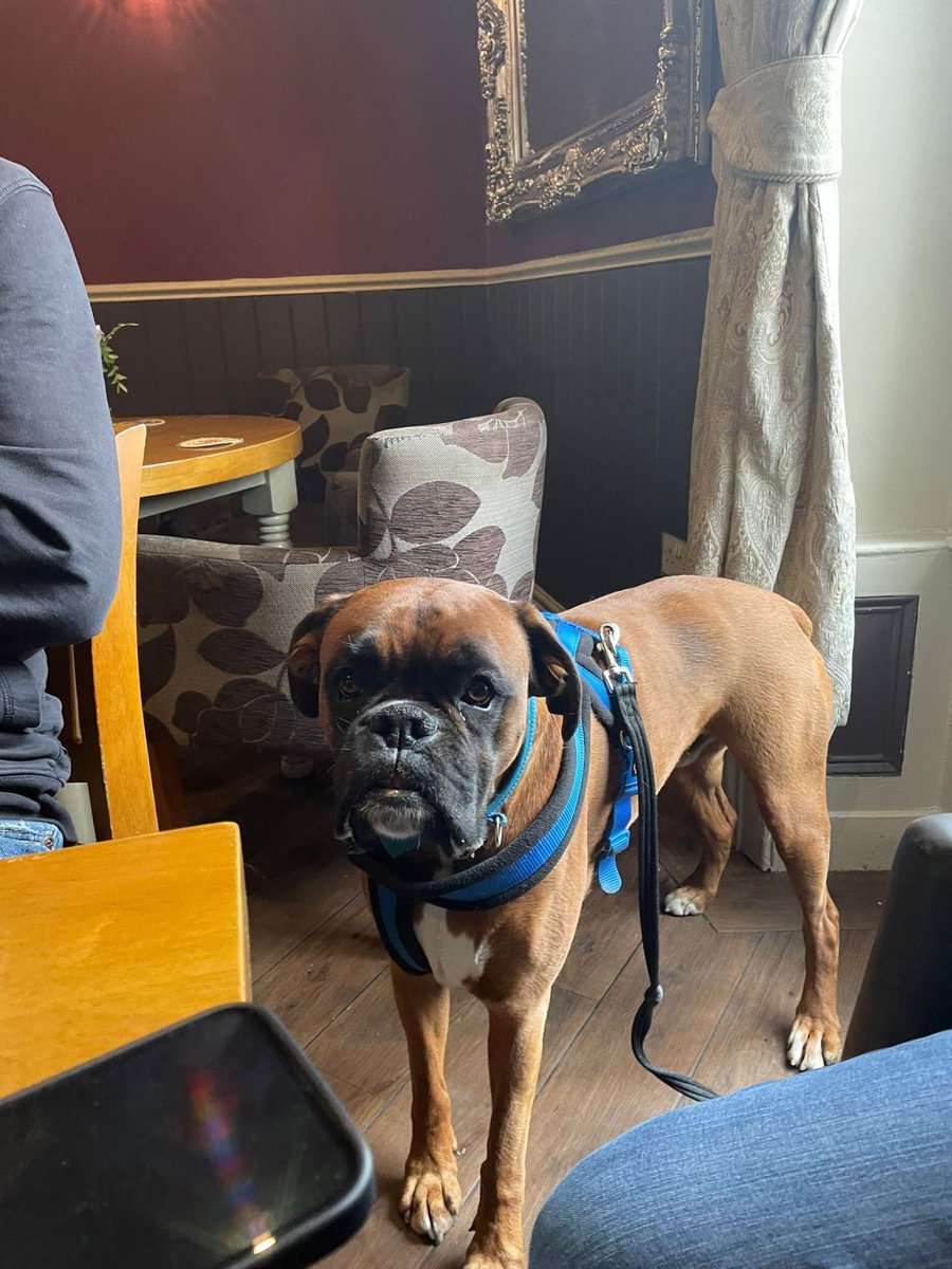 _Broadgrove's tweet photo. When you have the Peak District on your doorstep, it's rude not to visit and find some hidden gems. Good to stretch the legs as a team in the company of our Head of Security, George the boxer.

#teamevent #peakdistrict

https://t.co/fT7fFq5pdM https://t.co/Bh2viQS9IN