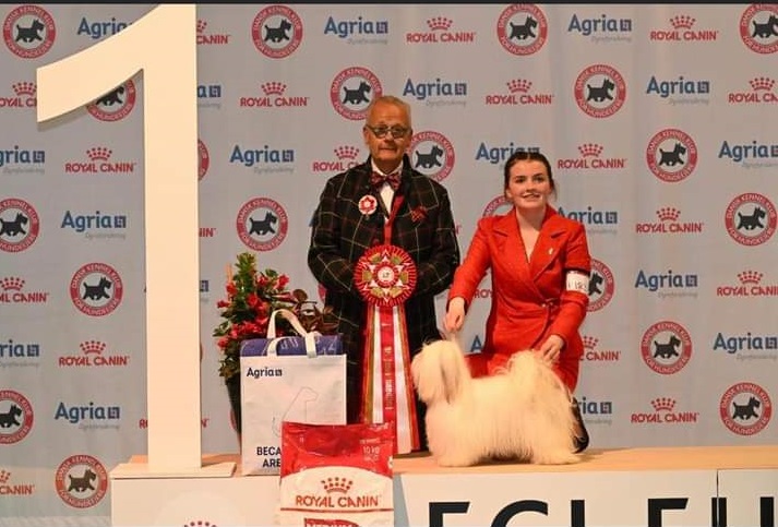 IrishKennelClub's tweet photo. A huge congratulations to Aoife Garry who won 2023 BIS Junior Handler at the European Dog Show over the weekend!
#ikc #irishkennelclub #juniorhandler #Europeandogshow #dogshow https://t.co/aGmnyOMbaJ