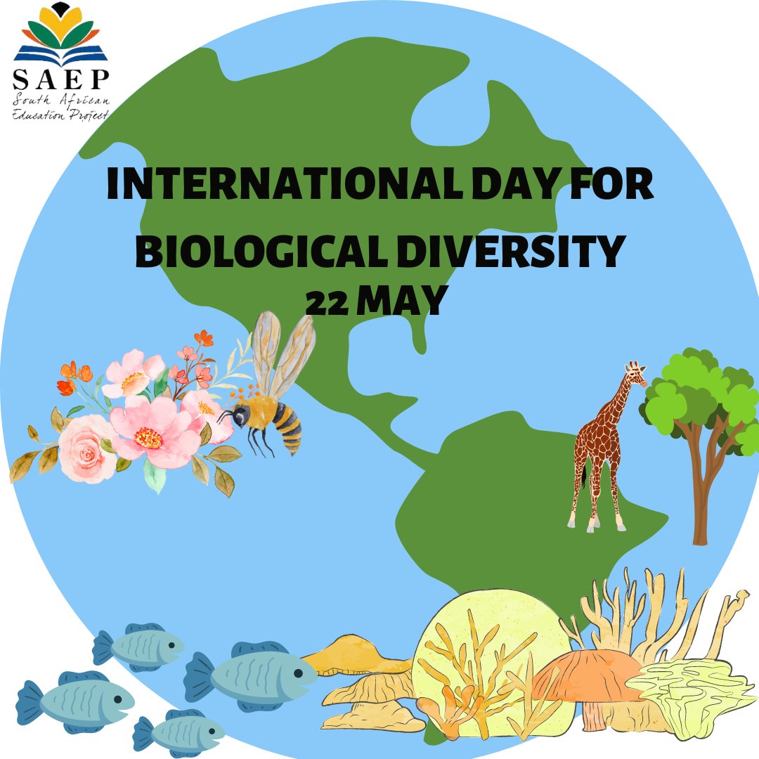 SAEP supports Biological Diversity in various programs through Environmental Education and Indigenous Greening Project.
Today, we should marvel at the world's Biological Diversity
#InternationalDayforBiologicalDiversity  #saep #EnvironmentalEducation #BiodiversityDay