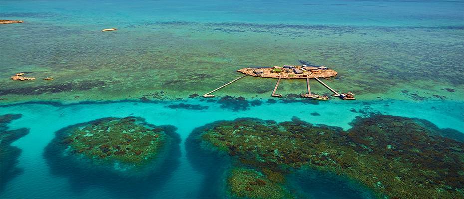 Biodiversitäts-Hotspot Südwest-Australien - ift.tt/Kfd4pHz