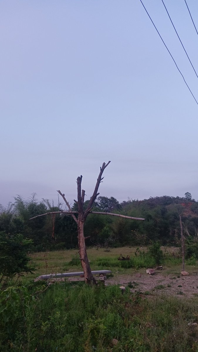 AnchalSriii's tweet photo. From Village Patttiyan, Bantalab Jammu. 🍀 https://t.co/c8sw826X4w