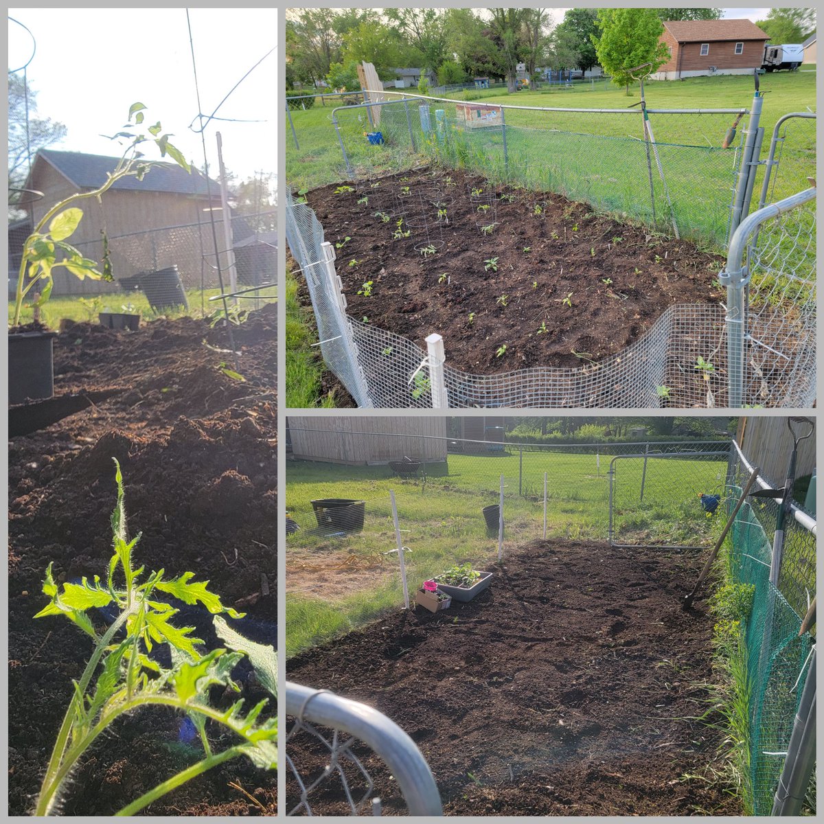 espartostudio's tweet photo. It was a productive weekend for getting things done outside! Perfect weather!

#gardening #planting #startedfromseed https://t.co/TbXNu24g3p