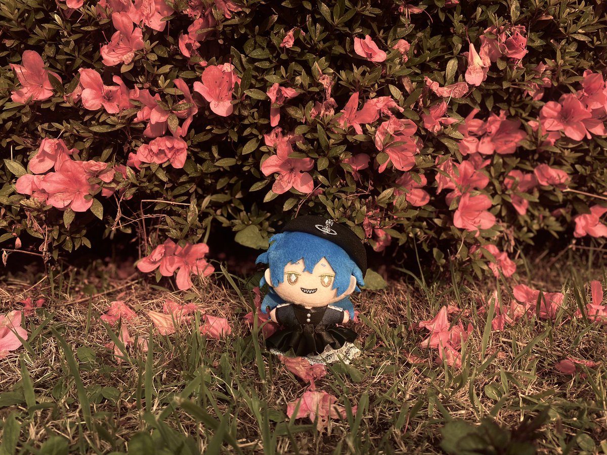 chimi_nu1's tweet photo. #twstぬい https://t.co/2ZlE8iRWWu