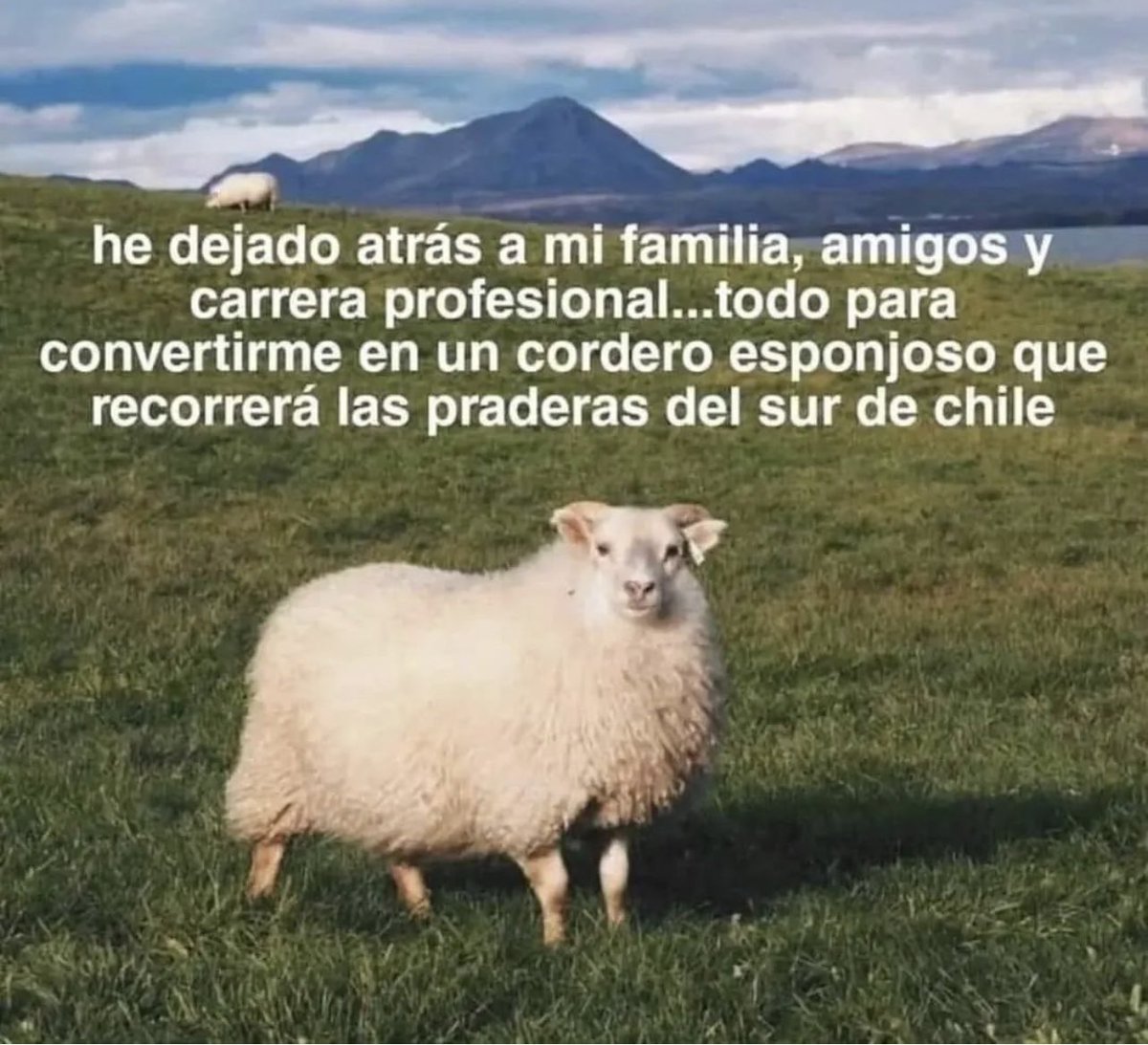 Bebi Fernández tweet media