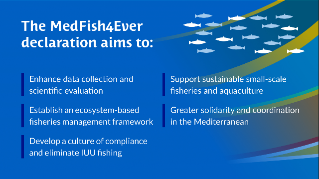 General Fisheries Commission for the Mediterranean tweet media