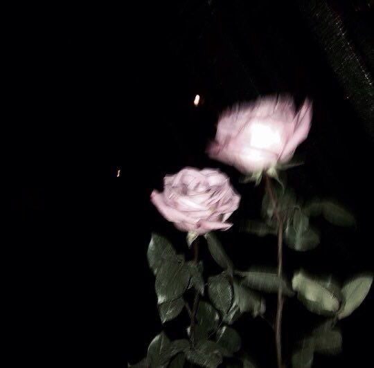ca_pgw_'s tweet photo. tag🏷
・
　　　　　　　　박건욱
・
　　　05（04）／kanto／同他◎
・　
　　　　❤︎orRTで気になった方
　　　　お迎えしちゃいます~💞
・
#ZEROSEと繋がりたい #ZB1好きな人と繋がりたい #ゼベワン好きな人と繋がりたい #ZEROBASEONE好きな人と繋がりたい  #zerobaseone #박건욱 #PARKGUNWOOK https://t.co/hesrnfJAua