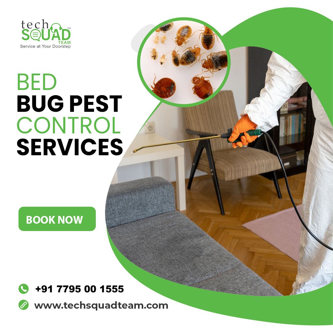 Say goodbye to bed bugs for good with our professional bed bug control service. Our skilled technicians use the latest methods and technology to rid your home of these pesky pests, so you can sleep soundly again. 
.
.
#Bedbug #acservices #acservicereview #airconditioner #pest