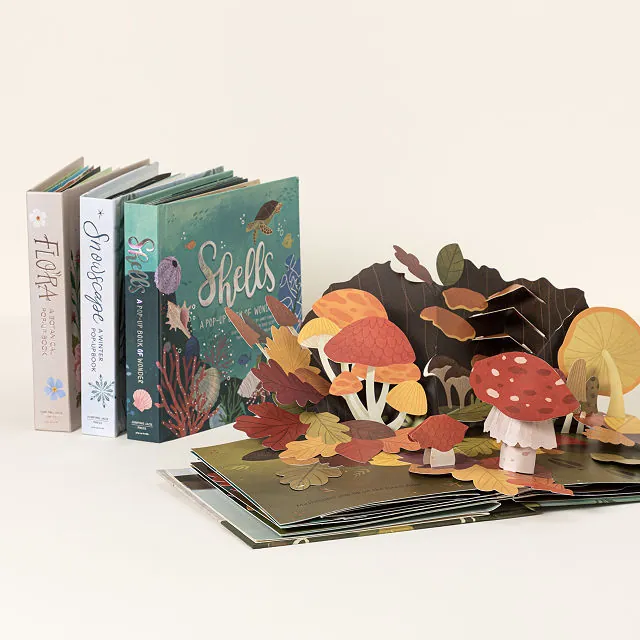 BellaPresents's tweet photo. Explore the Four Seasons Pop-Up Books https://t.co/z8khw2sxN4 https://t.co/PYusNCFESV