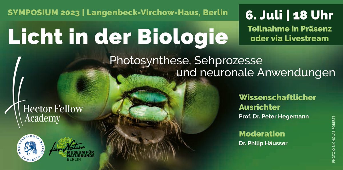 European Society for Photobiology (@eursocphotobiol) on Twitter photo Hector Fellow Academy <a href="/HFA_academy/">Hector Fellow Academy</a> presents "Light in Biology - Photosynthesis, Visual Processes and Neuronal Applications". July 6, 2023 at 6 pm at the Langenbeck-Virchow-Haus Berlin. Livestreamed. More information and the link to the registration:
hector-fellow-academy.de/en/upcoming-sy… 1/3 Hector Fellow Academy <a href="/HFA_academy/">Hector Fellow Academy</a> presents "Light in Biology - Photosynthesis, Visual Processes and Neuronal Applications". July 6, 2023 at 6 pm at the Langenbeck-Virchow-Haus Berlin. Livestreamed. More information and the link to the registration:
hector-fellow-academy.de/en/upcoming-sy… 1/3