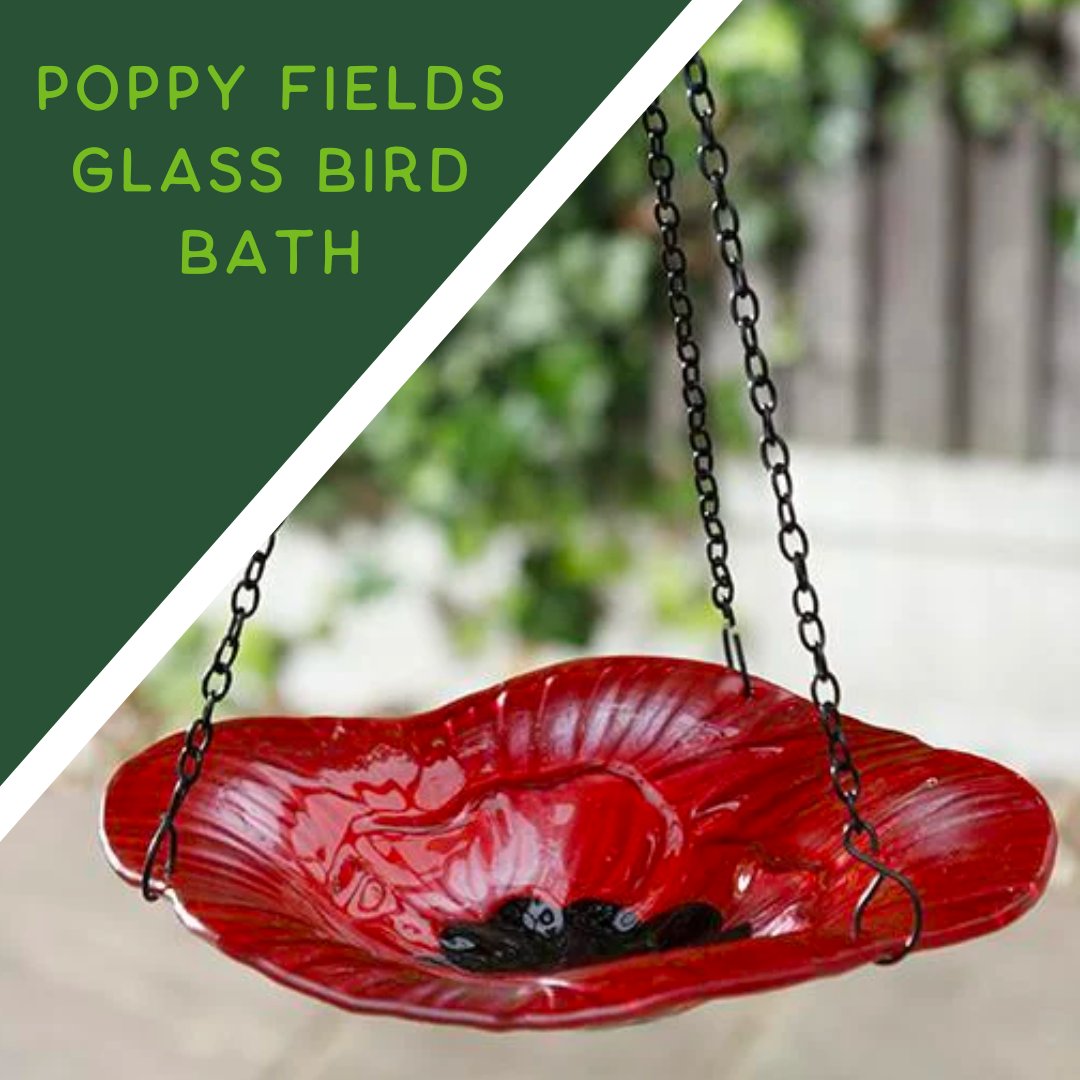 gardenature tweet media