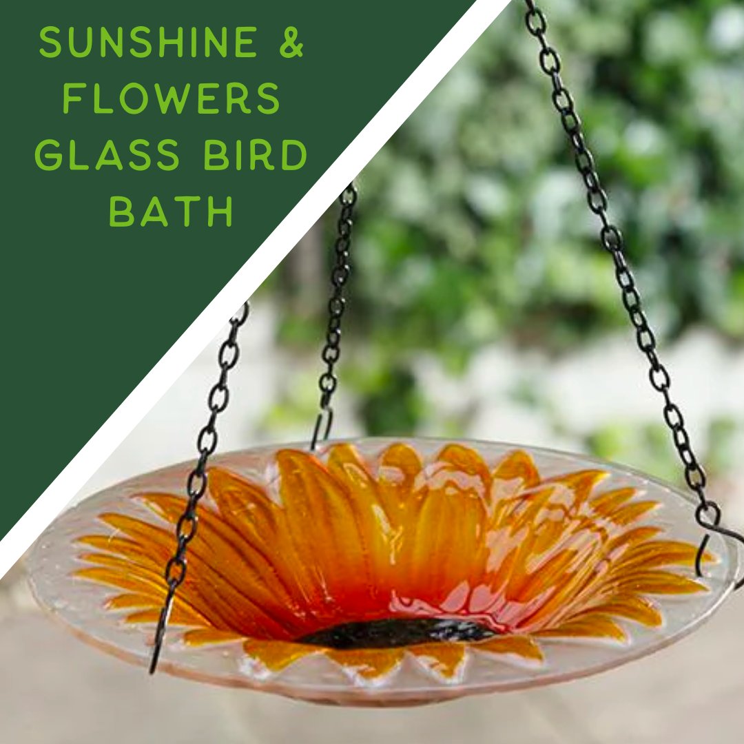 gardenature tweet media