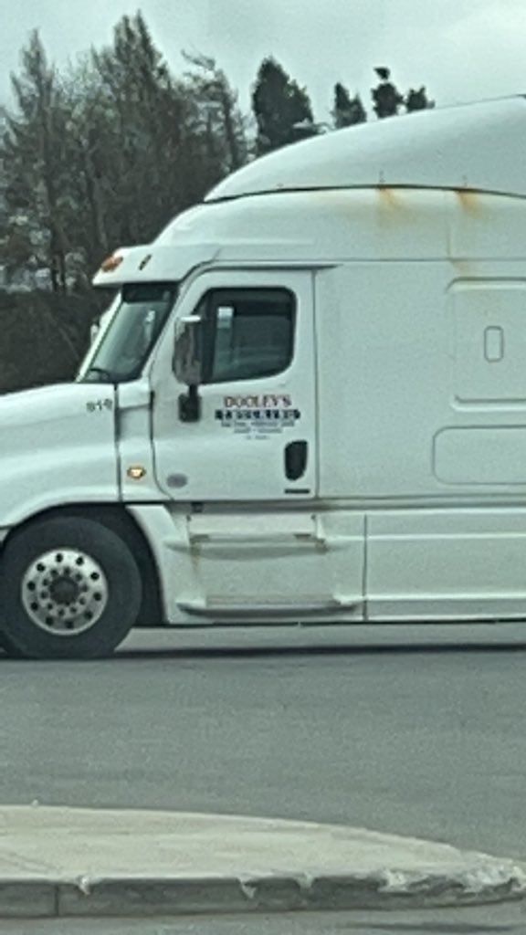 spicygremlinNL's tweet image. Dools!! #dd #86 #spry