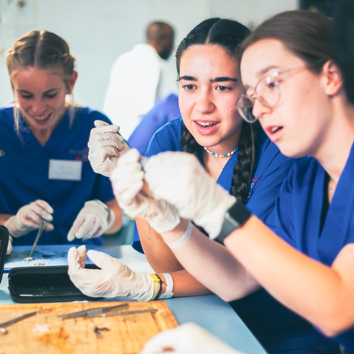 Multimedic's tweet photo. Dissecting a cow's eye for the first time can be a real challenge for students. Nevertheless, it's also lots of fun and a great chance to gain insights and hands-on experience. 

#theapprenticedoctor #medicalcamp #medicaltraining #futuredoctors #futurenurses #eyedissection https://t.co/vNU81PJRVI