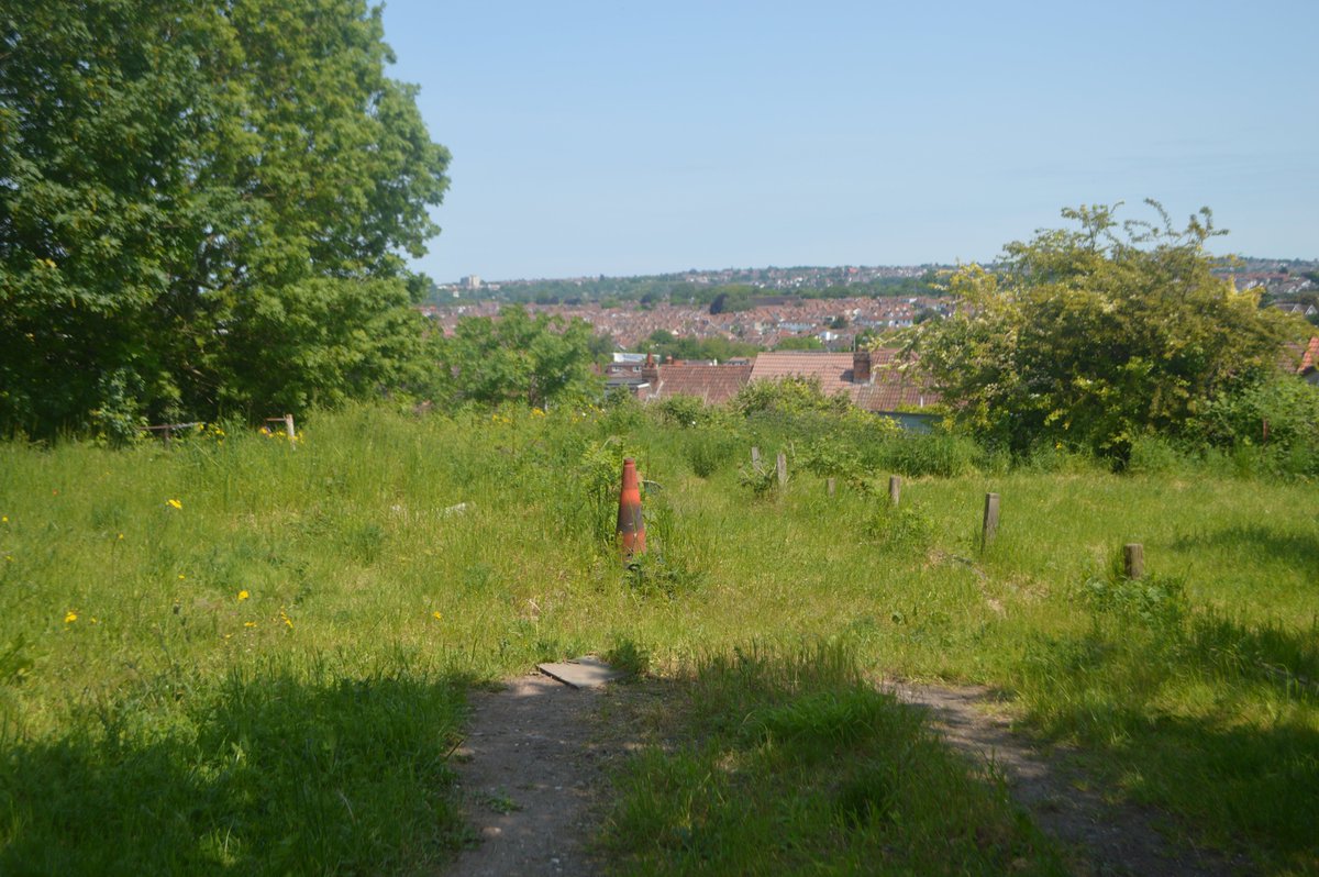 why use the term Wasteland to describe emerging habitat? Voles, foxes, birds, badgers, bats & 75 plant species all live in our back lane. Local children build dens & live a free 70's childhood. It is all due to go if developers have their way. South Bristol European Grey capital!