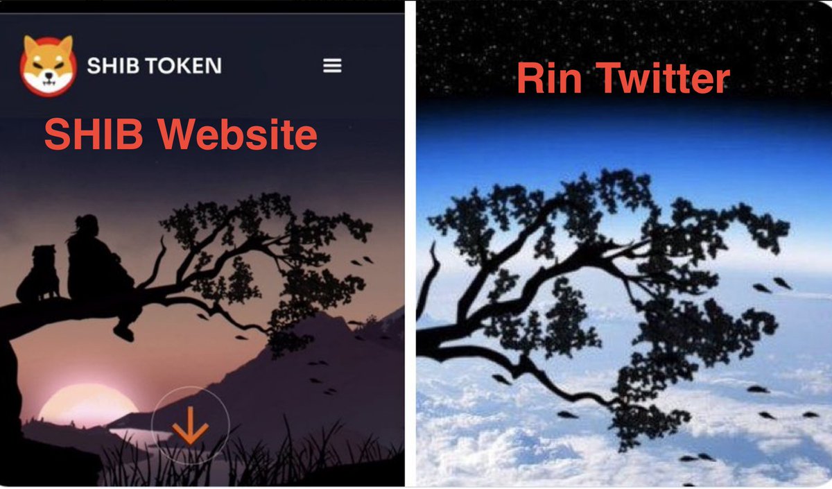 matzabalz's tweet photo. @MonstersCoins $RIN #RIN

Holy cookies, tell me you are connected to $SHIB without saying you are connected to $SHIB..... I've asked the SHIB Core team members in the TG and they mum....

Sub $1mil mc, but I don't think for long......

https://t.co/2B9tYAPDos

https://t.co/yay1vWsCoY https://t.co/w1ITB4Wh8f