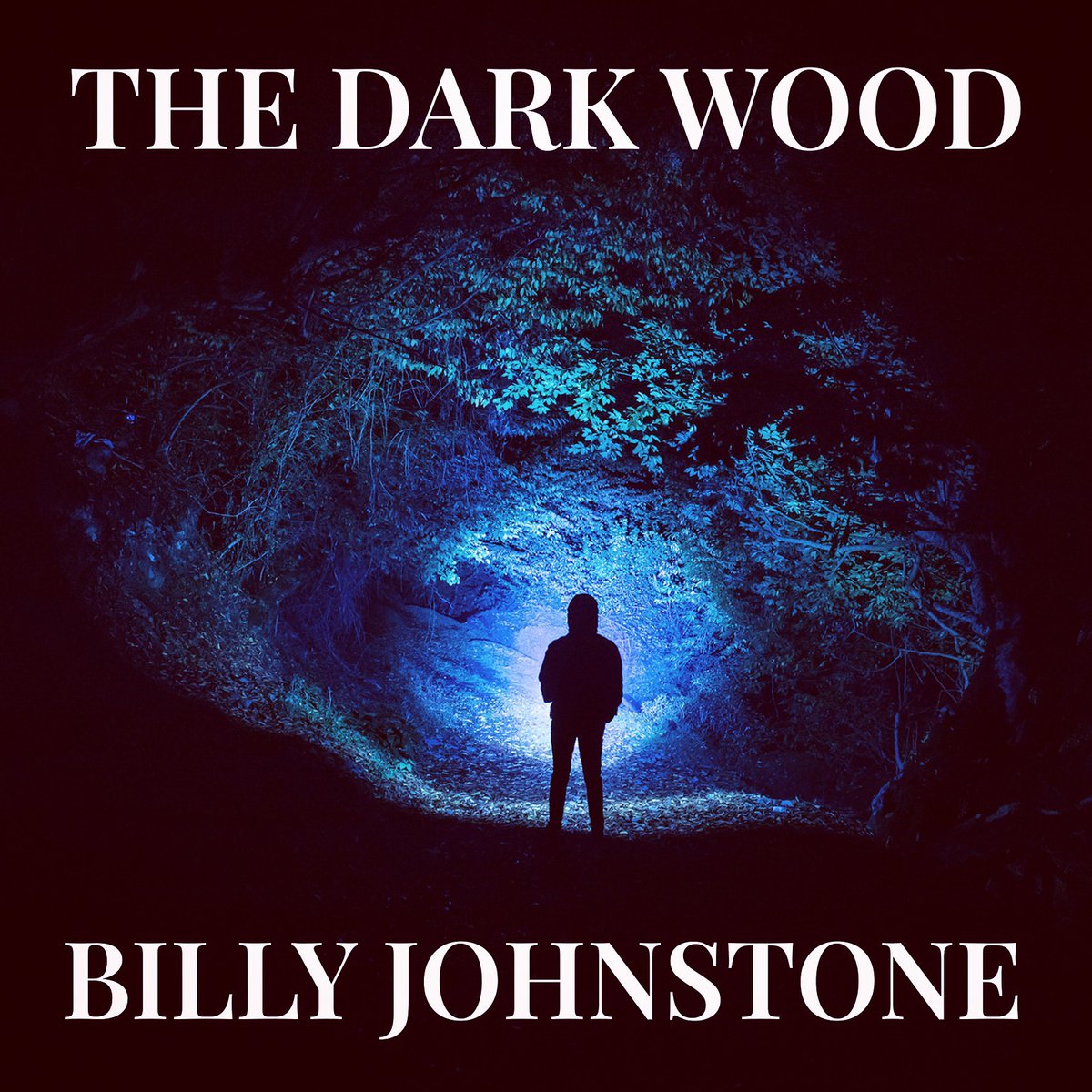 THE DARK WOOD, by me and Billy Johnstone, is now on #Spotify & other places. Please share. Cheers :) 
“Beware the spectre trees!” open.spotify.com/album/3szJkg8p…
… #indierock #folkrock #song #music #SpotifySingles #independentmusician #rock #indie #indiemusic  #song