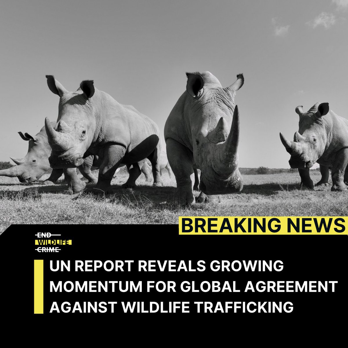 ADM Capital Foundation tweet media