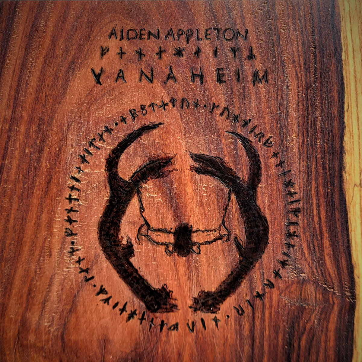 Aiden Appleton tweet media