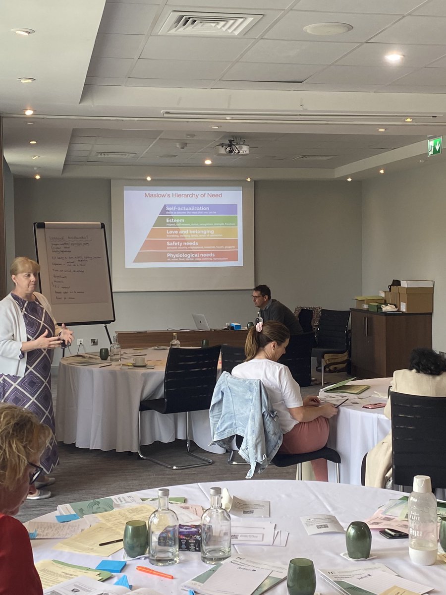 Tracey demonstrating Maslow’s hierarchy of needs for attendees #clinicalaudit #QIreland #patientsafety