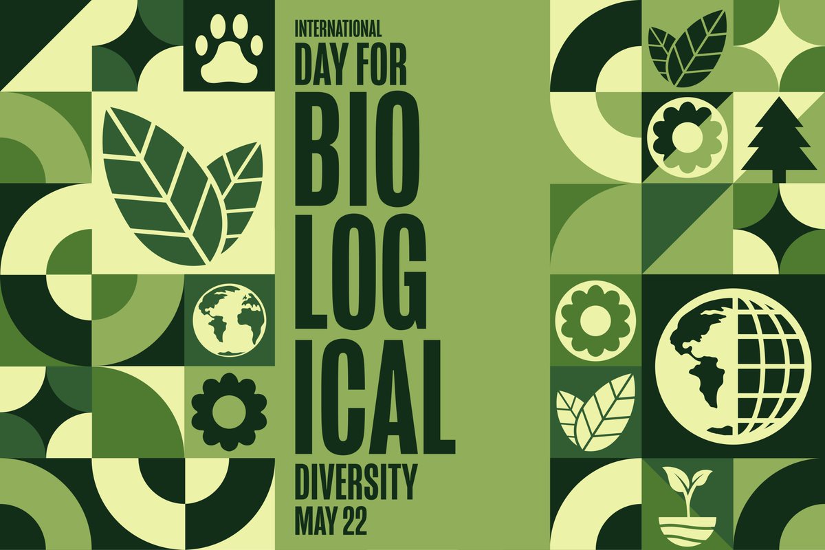 #BiodiversityDay: Earth's natural capital has been rapidly depleted and degraded, posing threats to human well-being and economic growth. We must be ambitious and take action immediately 💪🌱🐅