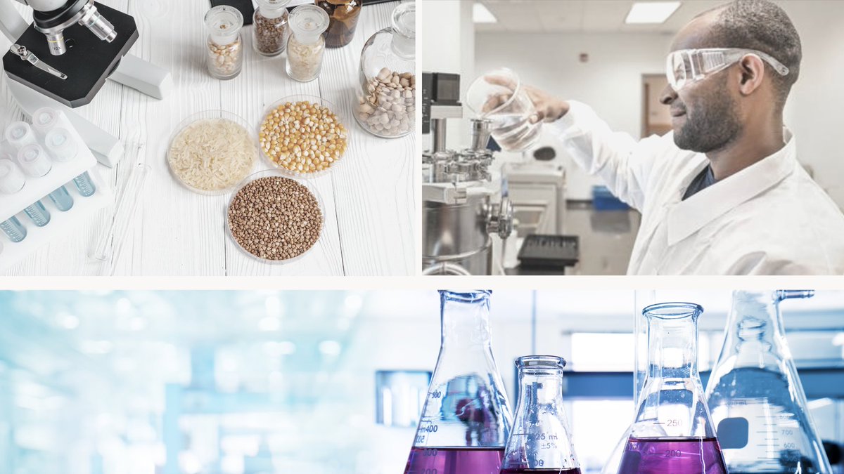 UTC Graduate School tweet media