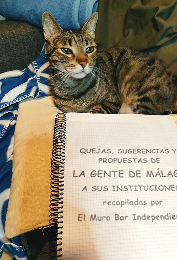 CandigatoAgus's tweet photo. Me ha hecho entrega su documento de propuestas, quejas y sugerencias. Al igual que ha hecho con el resto de candidatos humanos: @aDanielPerez @RemediosRamos1 @antoniamorillas y @nicosguiglia

Reafirmo mi apoyo a cualquier propuesta escrita en #ComicSans.

#Candigato https://t.co/3KDsPdO03K