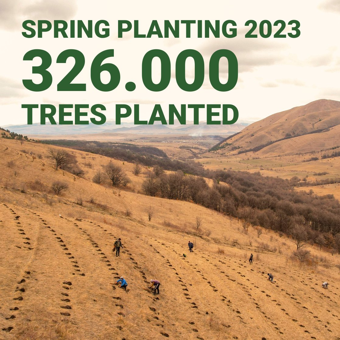 We proudly announce that we have planted 326.790 trees for Spring Planting 2023. 

We've covered 116 ha of a new afforestation area in Urasar, Lori province. We've planted oak, wild apple, maple, pines, and shrub seedlings.

#SpringPlanting2023 #MyForestArmenia #PlantTreesForLife