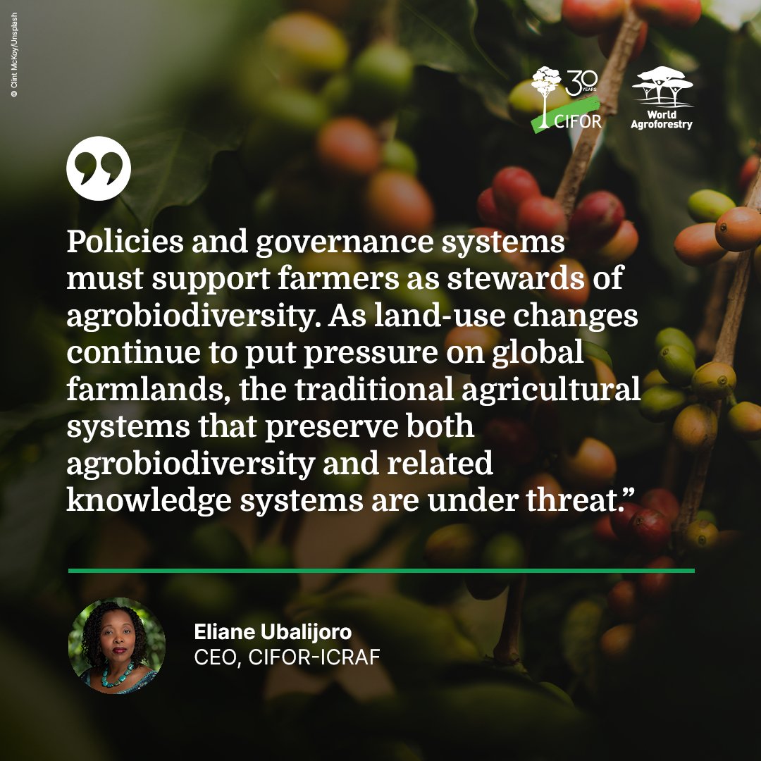 “Policies and governance systems must support farmers as stewards of #agrobiodiversity.

As land-use changes continue to put pressure on global farmlands, the traditional agricultural systems that preserve agrobiodiversity are under threat.” @elianeubalijoro 

#BiodiversityDay