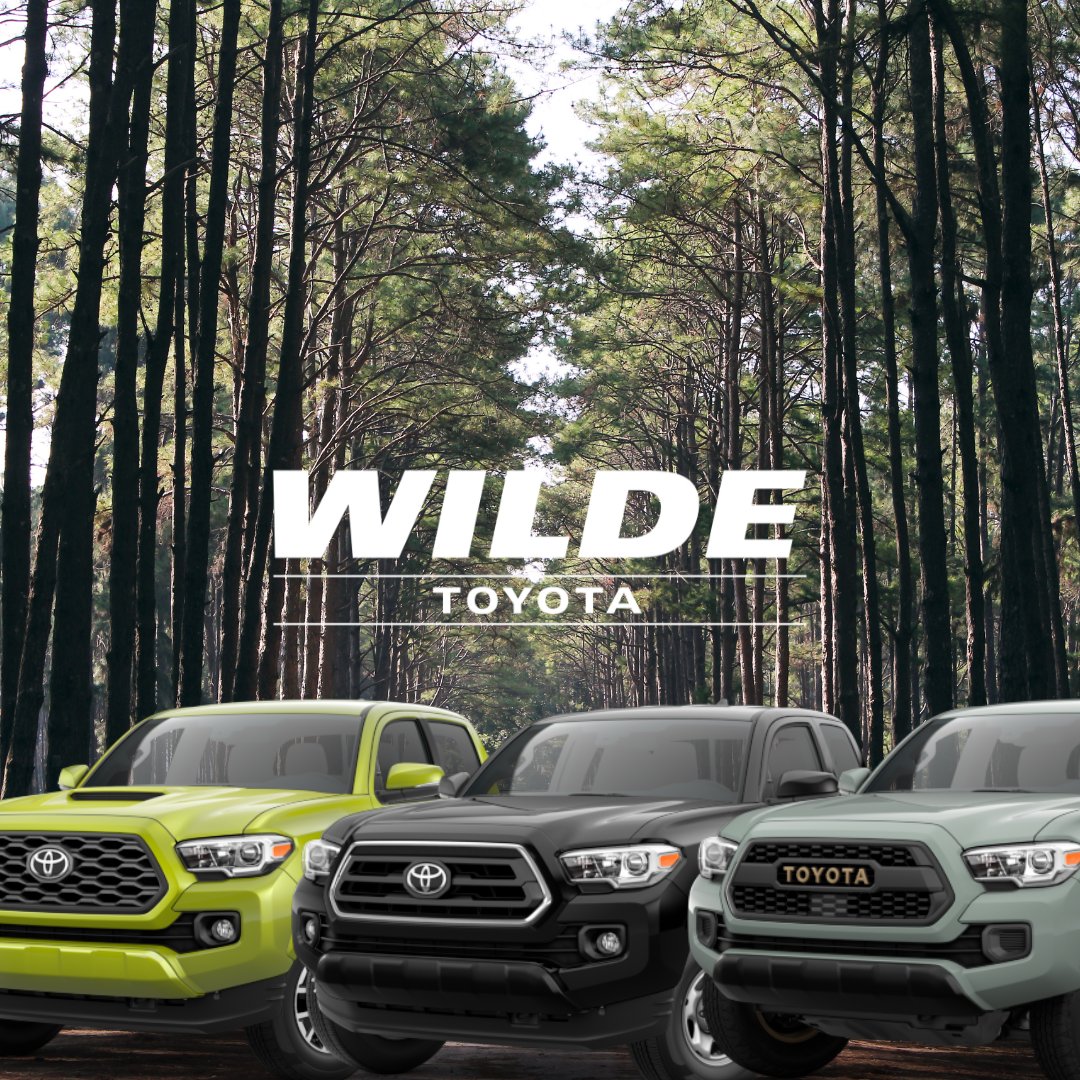 Wilde Toyota tweet media