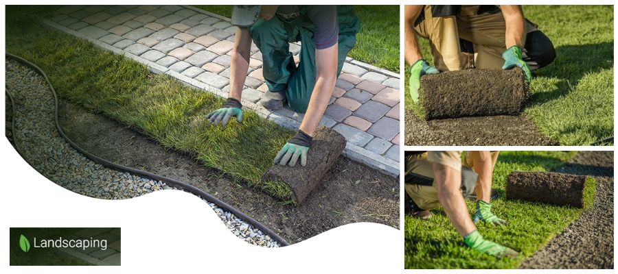 slandscapingpro's tweet photo. Decoding Turf Laying Costs: Factors That Impact Your Investment!
https://t.co/nrcuC5fgj1
#turf #turflay #sydney #sydneyturf #sydneyturflaying #turflaying #turflayingmaintenance #turflayingservice #landscapedesign #turflayer #turflayer #beautifulturf #greenlawn #turfinstall https://t.co/cH0cisQXjI
