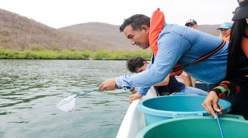 Liberan más de 500 caballitos de mar en el Parque Nacional Mochima 

#MaduroMásPueblo

vtv.gob.ve/liberan-caball…