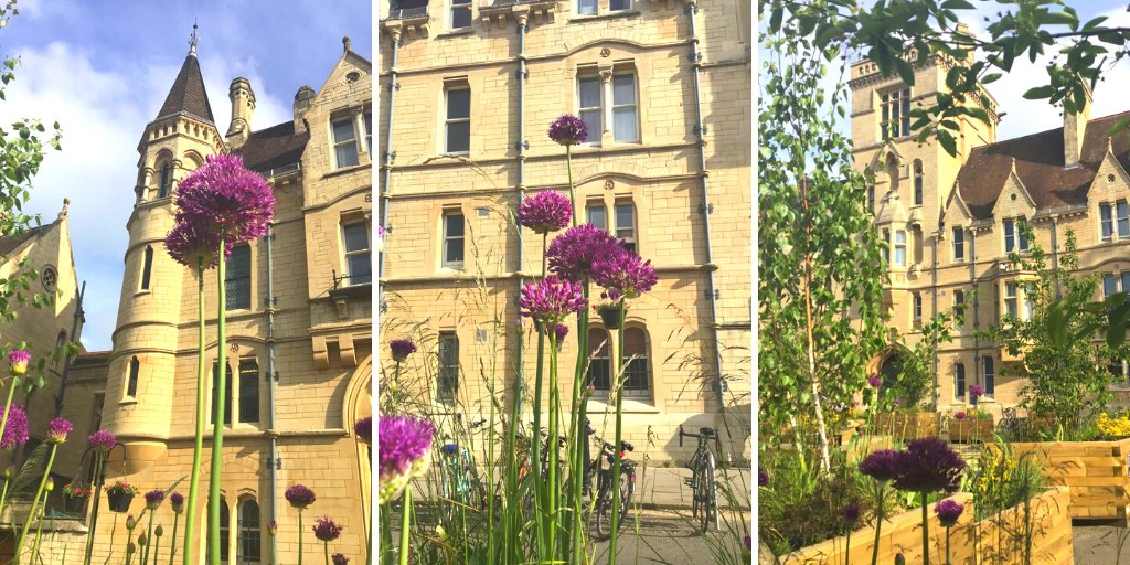 Oxford’s iconic Broad Street has been transformed!

The installation of wooden seating and planters filled with a mix of seasonal native flowers, trees and shrubs look blooming marvellous at the moment outside @BalliolOxford! 🌺

📷 AO / ZB