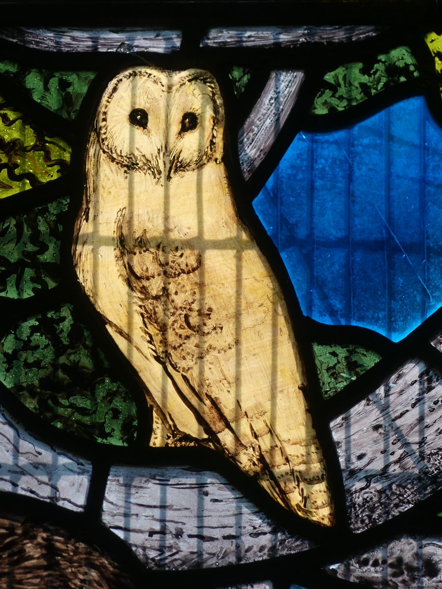 mutley7781's tweet photo. 👀 Church of St Mary, #Kelling #Norfolk
#OwlishMonday detail from the St Francis #stainedglass window made by Harry Mileham (1938). https://t.co/wdK9K2GYLX