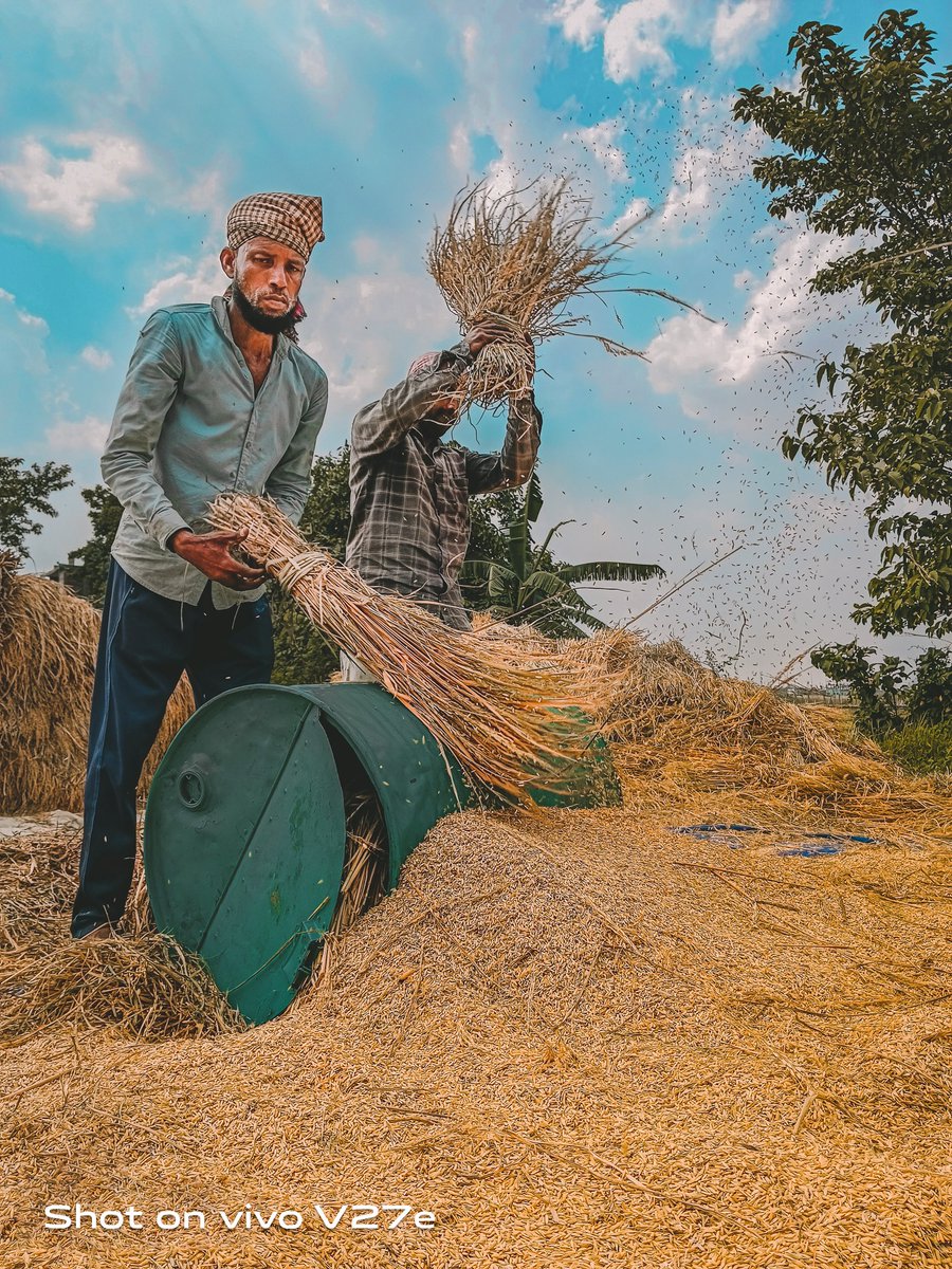 BangladeshVivo's tweet photo. We captured the glow of hard-work of our harvestersπΎ with vivo V27e π
Learn more π
https://t.co/JpL0EMnRkR
#V27e #V27series #GlowingPortrait #LoveBangladesh #Lovevivo #vivoBangladesh π https://t.co/puxGRSyTlg