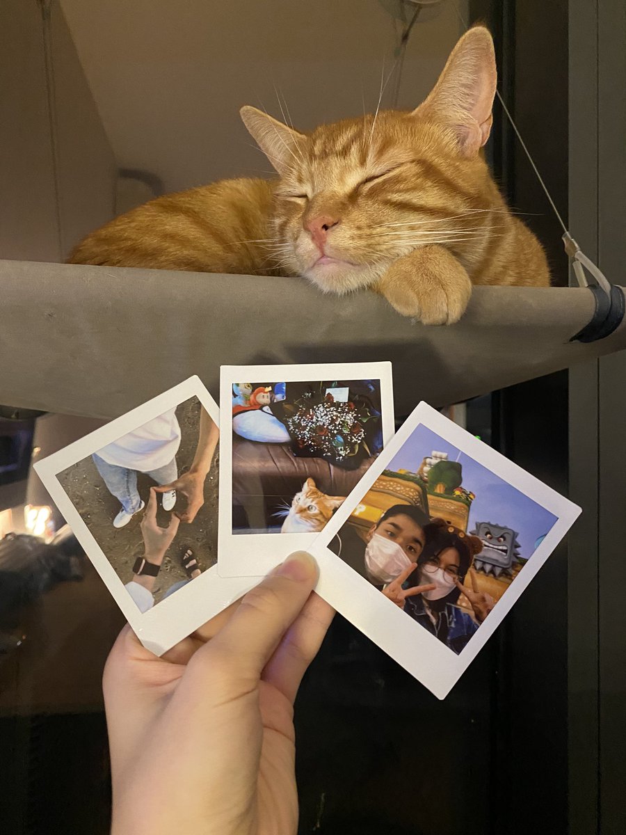 めろん🍈 tweet media