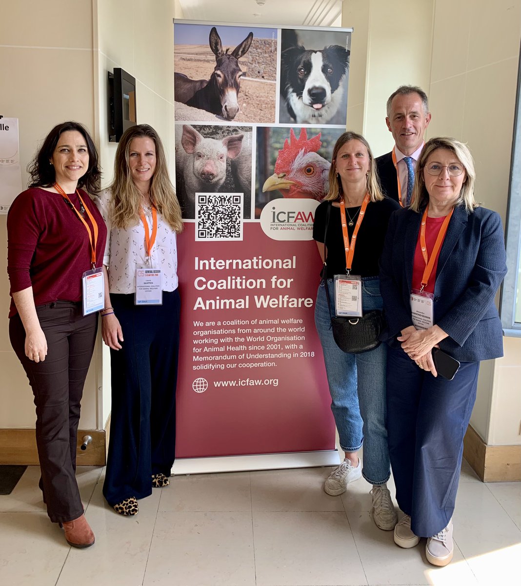 Well done to the International Coalition for Animal Welfare Steering Group for their hard work up to and around the #ICFAW side event at 90th #WOAHGS (members tagged plus Dr Carolina Maciel)