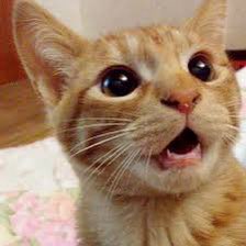 JHKBTM's tweet photo. ㅜㅜ .... ㅜㅜ ..... ㅜ ㅜ ㅜ ........ ㅜ https://t.co/5XsnLK4JDh