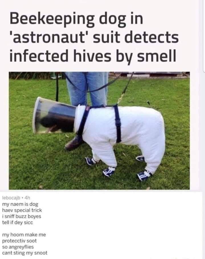 WholesomeMemes tweet media