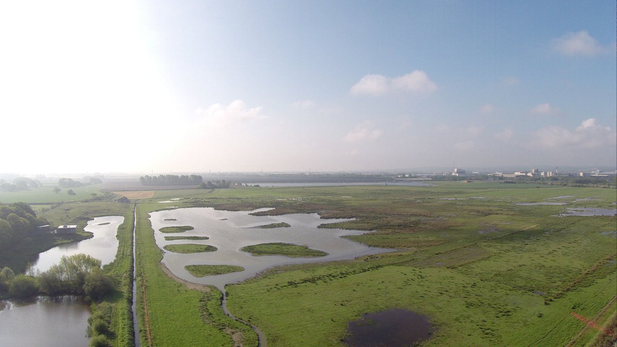 Thanks to your support, we've transformed arable fields into a rich freshwater haven at Burton Mere Wetlands, complementing the vast natural habitat of the tidal estuary and creating a vital home for an array of wildlife. #internationaldayforbiodiversity #BuildBackBiodiversity