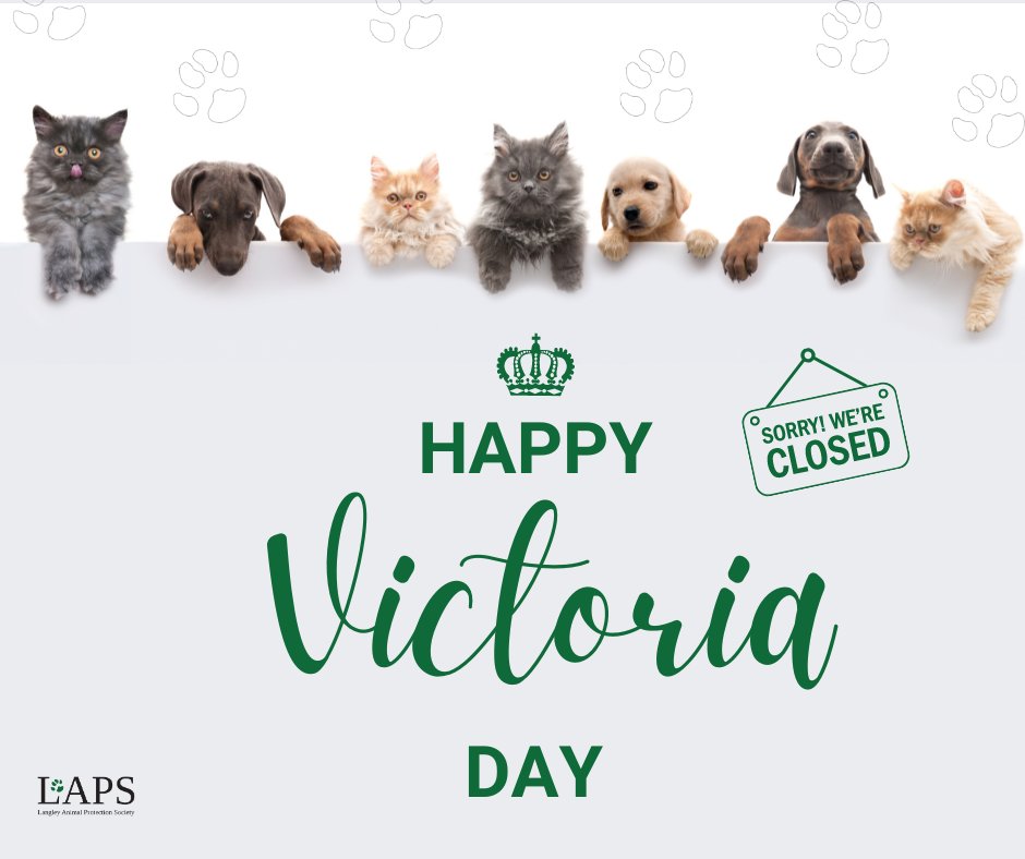 Langley Animal Protection Society tweet media