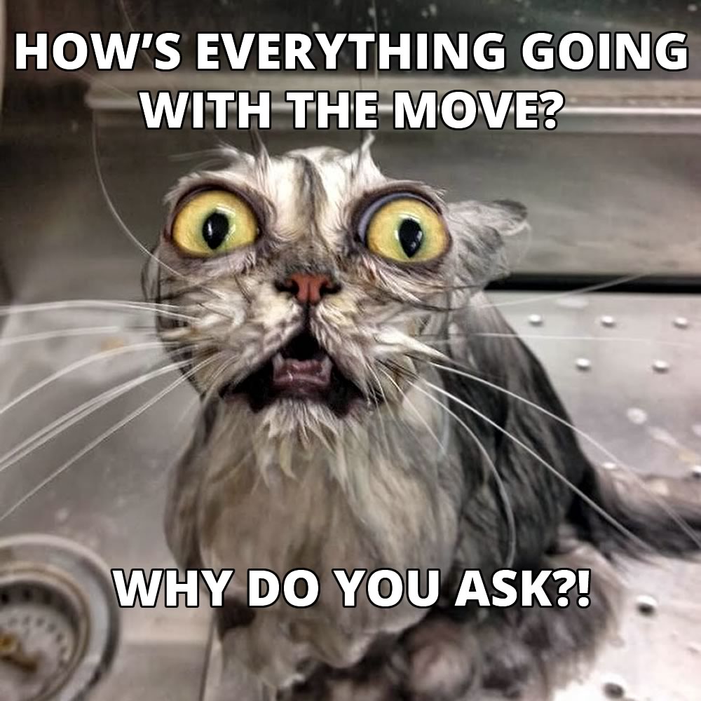 A little stressed about your move? Get in touch and we'll take some of the stress out of the process! 1-844-849-4558 2burleymen.ca