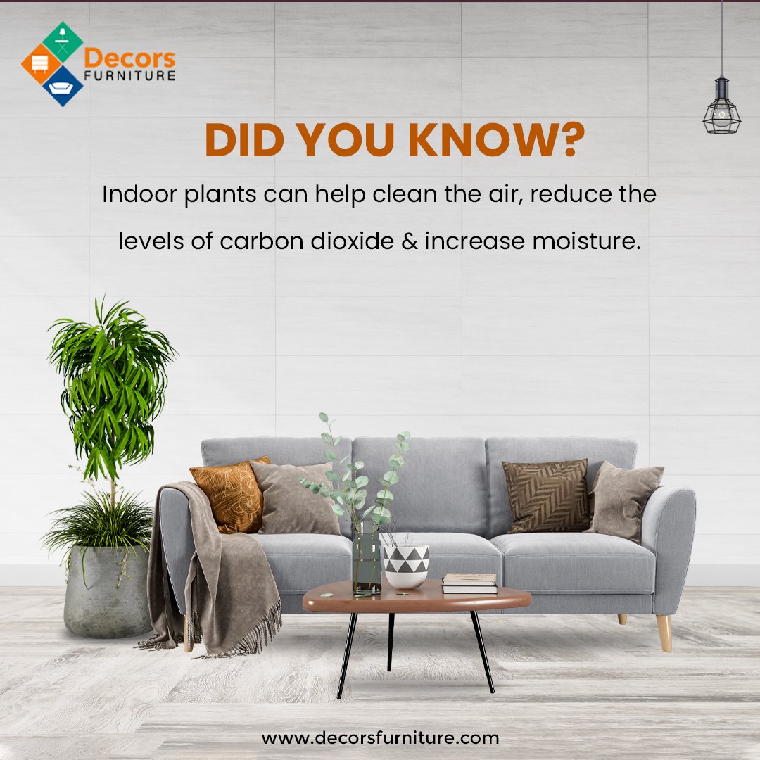 Indoor plants can improve indoor air quality to keep us fresh & Healthy. 
.
.
.
#DecorsFurniture #fresh #AirQuality #indoorplants #indoorjungle #freshair #freshairfreshmind