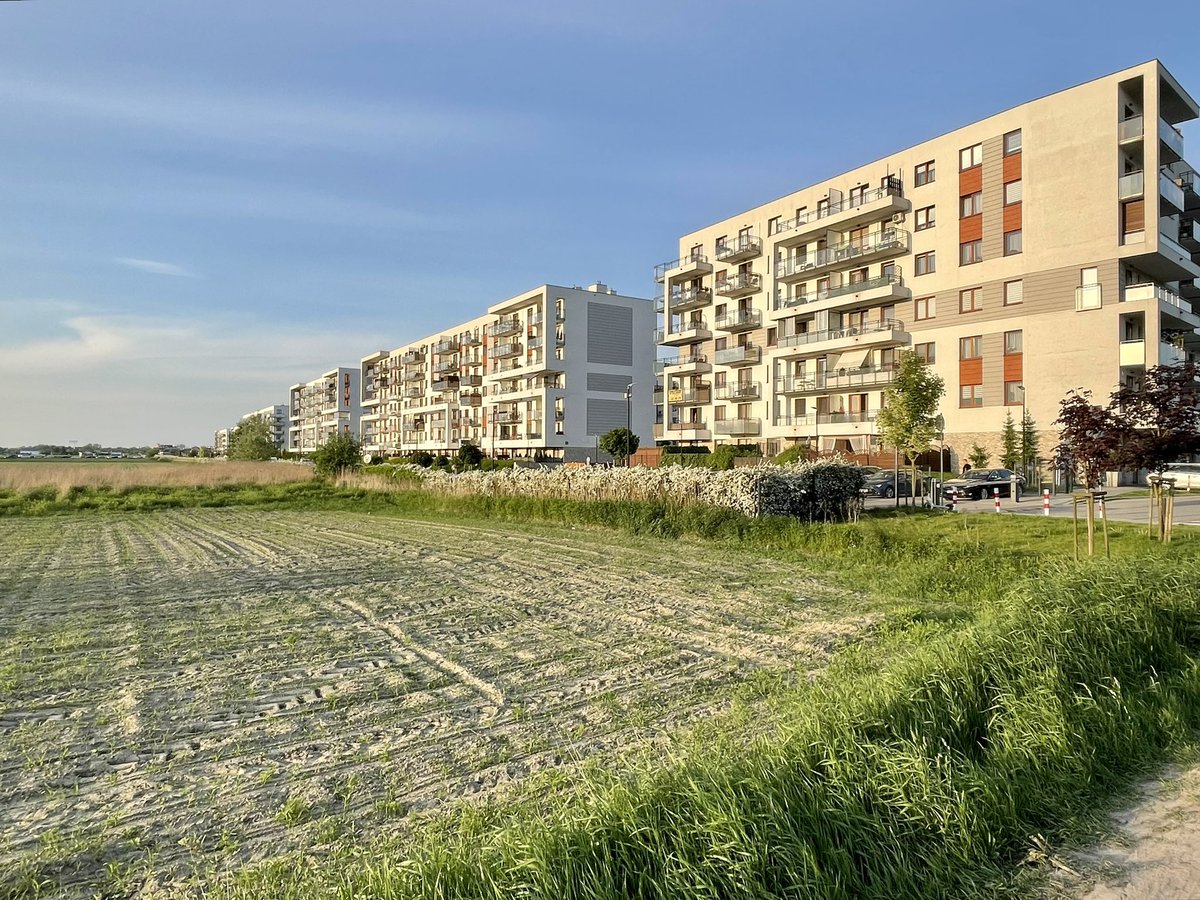 Lukasz Malinowski tweet media