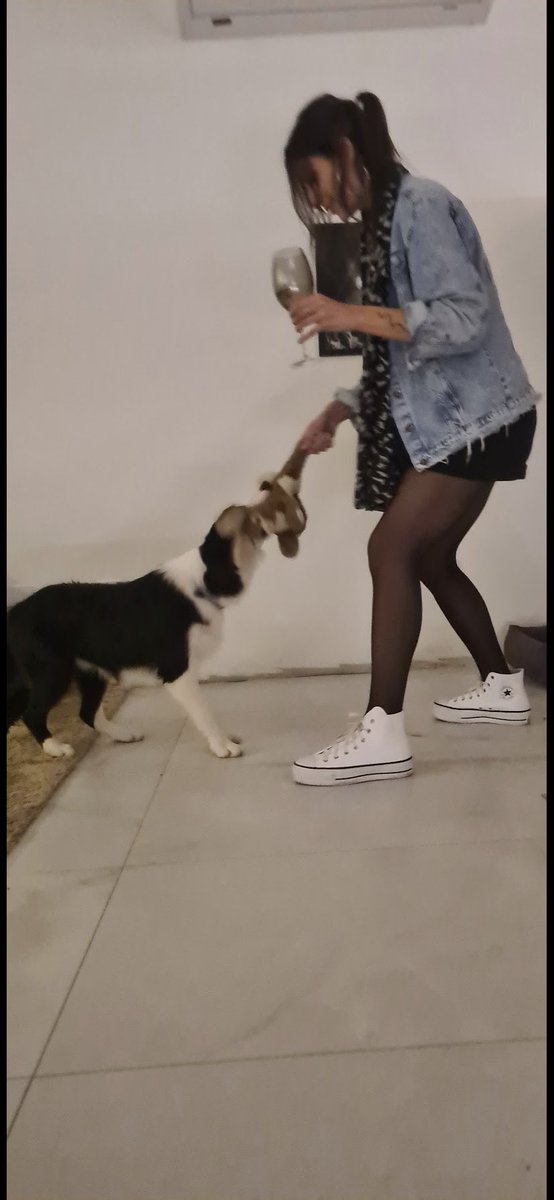 gigi tatueira tweet media